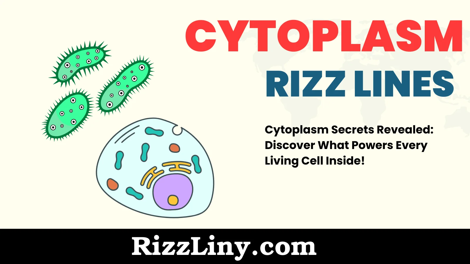 Cytoplasm Rizz Lines