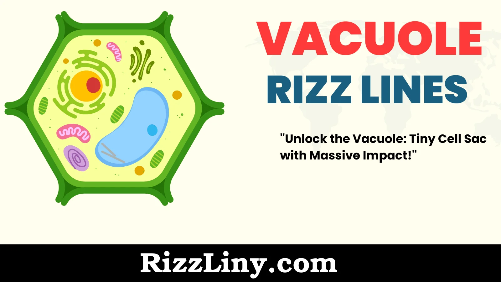 Vacuole Rizz Lines