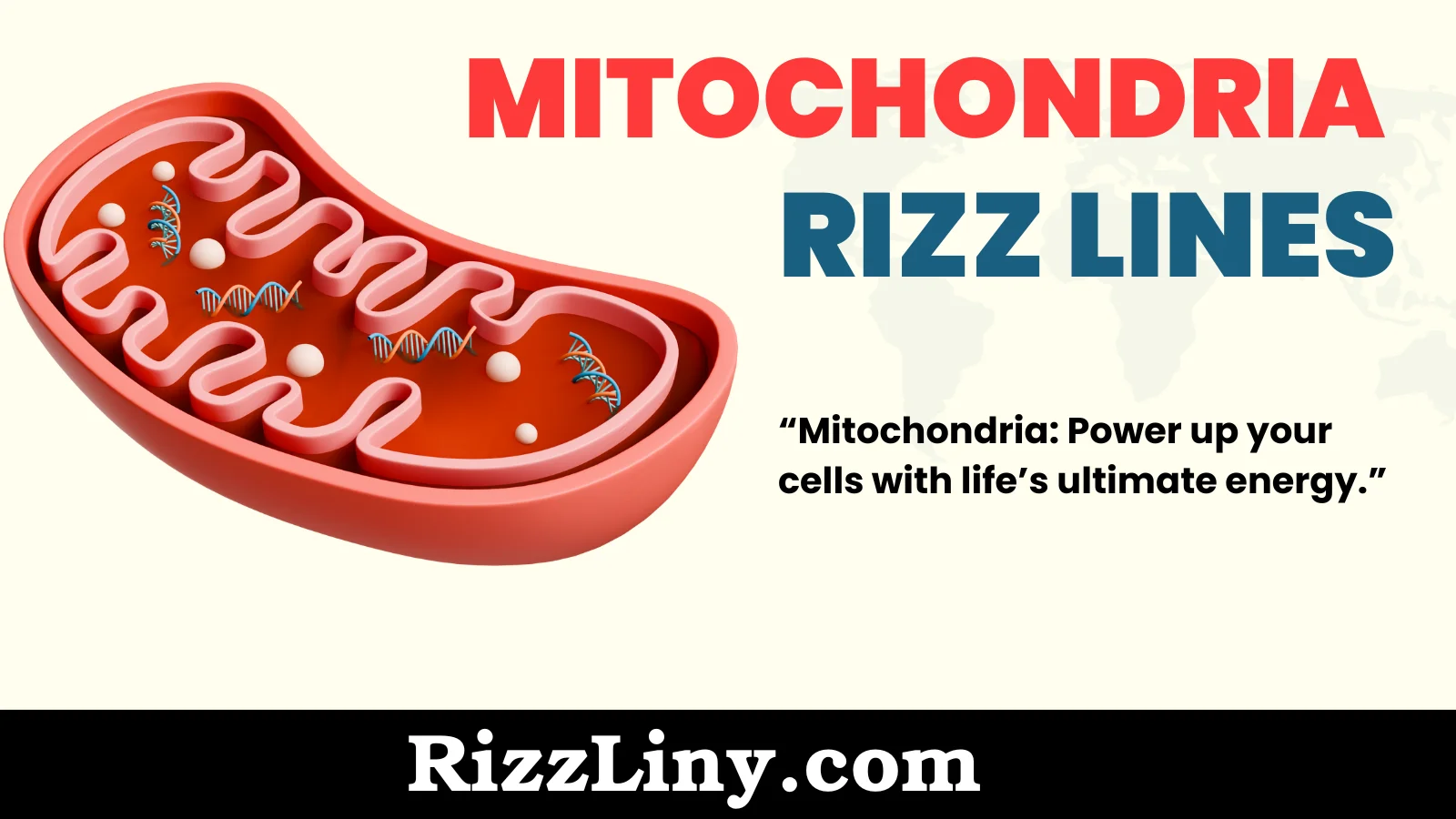 Mitochondria Rizz Lines
