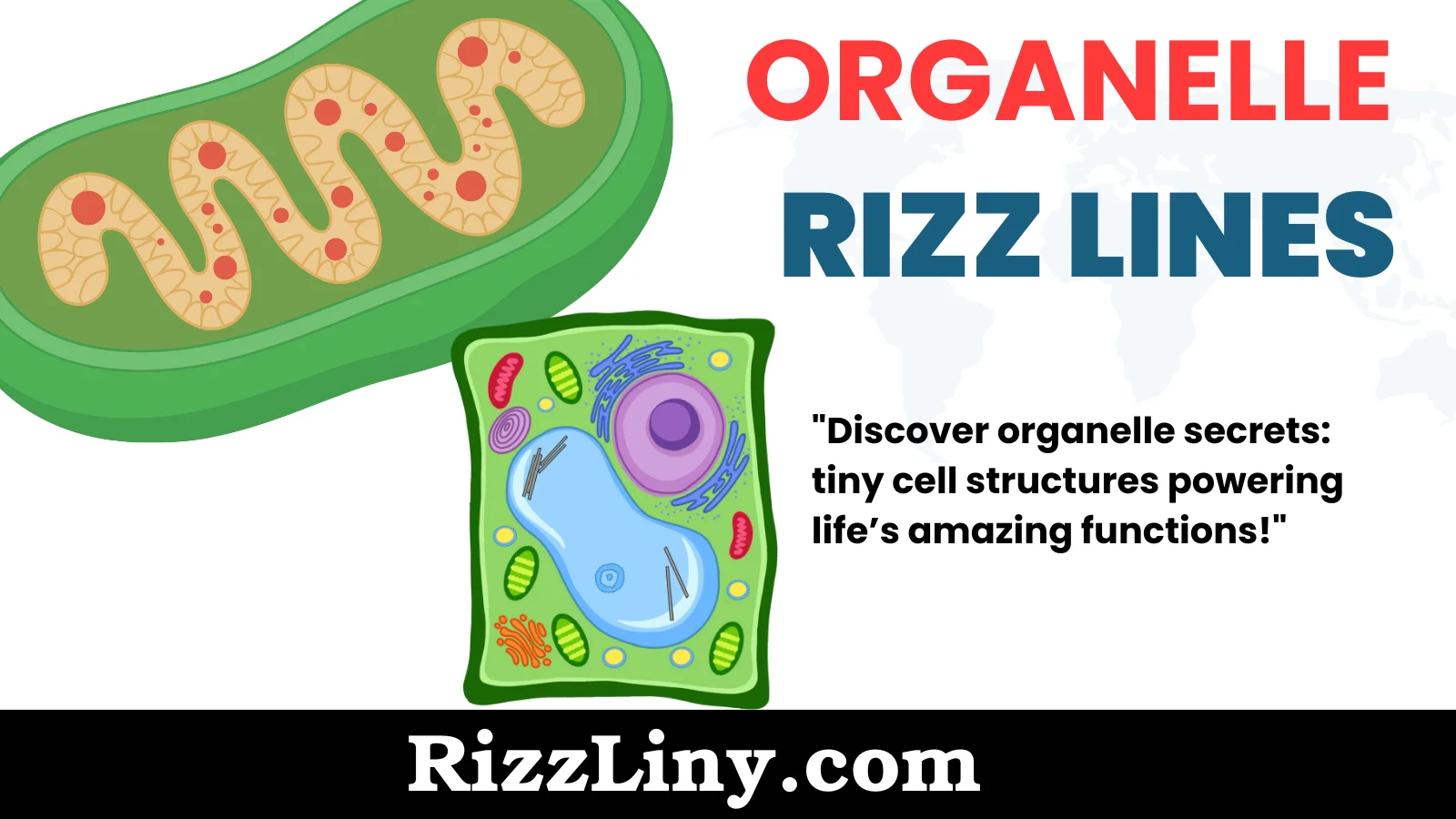 Organelle Rizz Lines